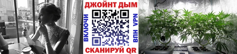 Виды наркоты Красный Холм Марихуана  Альфа ПВП  KRAKEN   МЕФ 