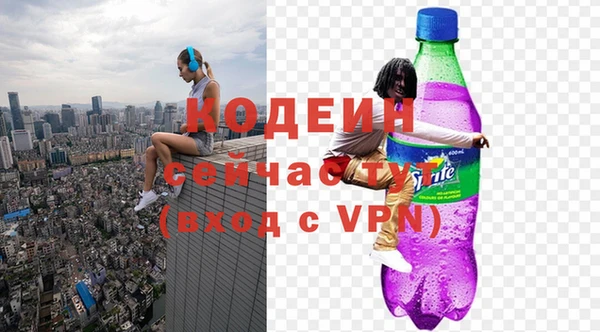 молекула духа Лабытнанги