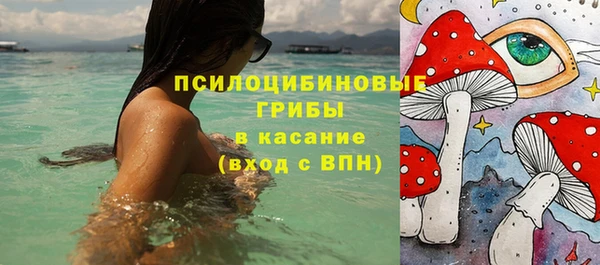 бошки Каменногорск